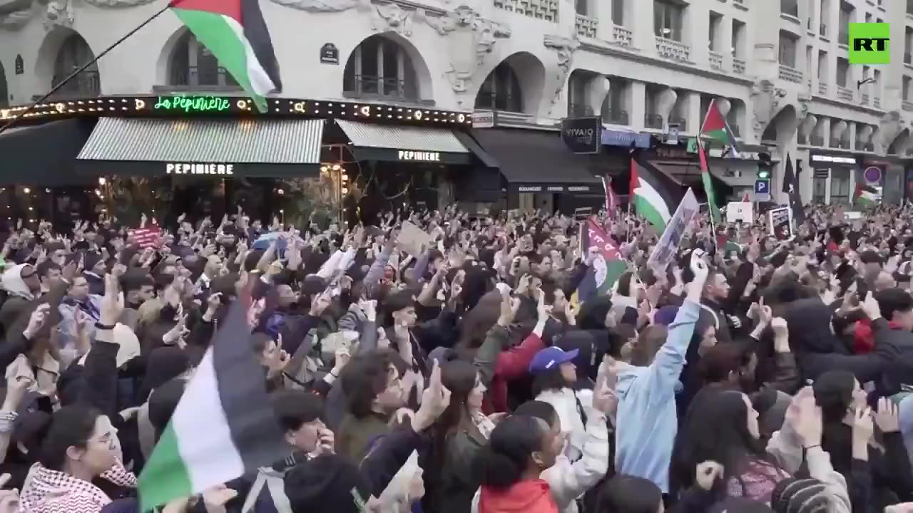 Why is France committing national suicide?