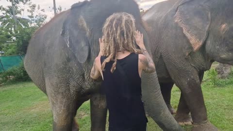 Riding elephants in Thailand!😍🐘🌿