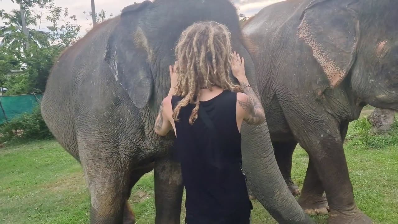 Riding elephants in Thailand!😍🐘🌿