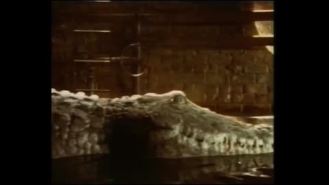 1993 Coca-Cola Tab Clear Commercial