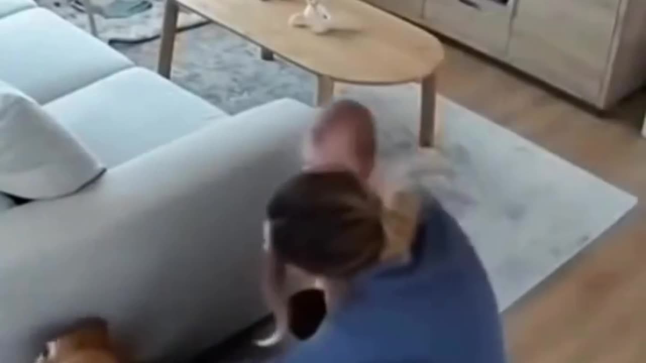 In this world, nothing is more loyal then a dog🐕🐕