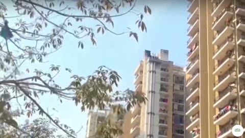 Gaur City 5th Avenue Ready to Move Flats Greater Noida West
