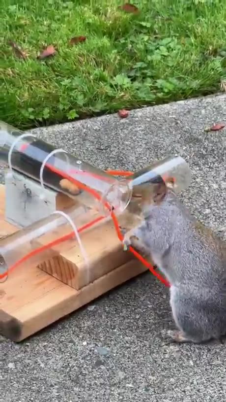 He figured it out... and so will we.