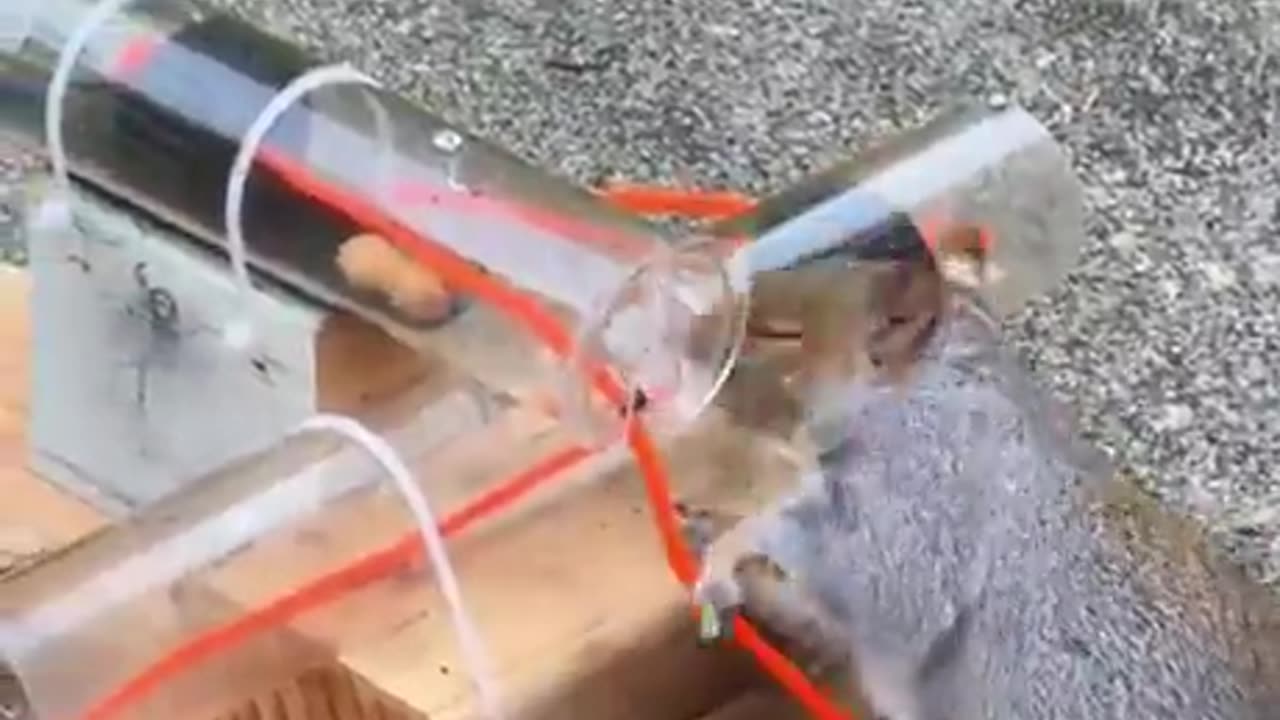 He figured it out... and so will we.