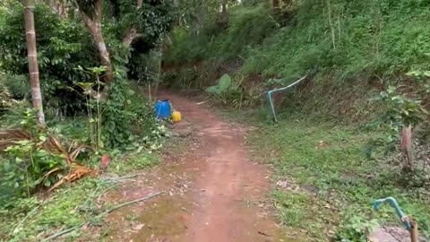 Two months volunteering on a coffee farm in Chiang Rai with the Lahu community - Part 1