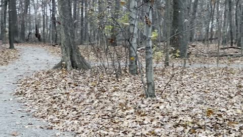 Cranberry Township Community Park - Part 3/3