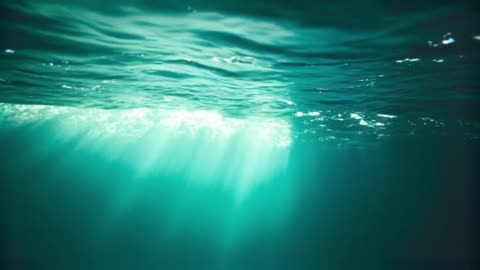 Relaxing Whale Sounds | Deep Ocean Ambience for Sleep, Meditation & Stress Relief