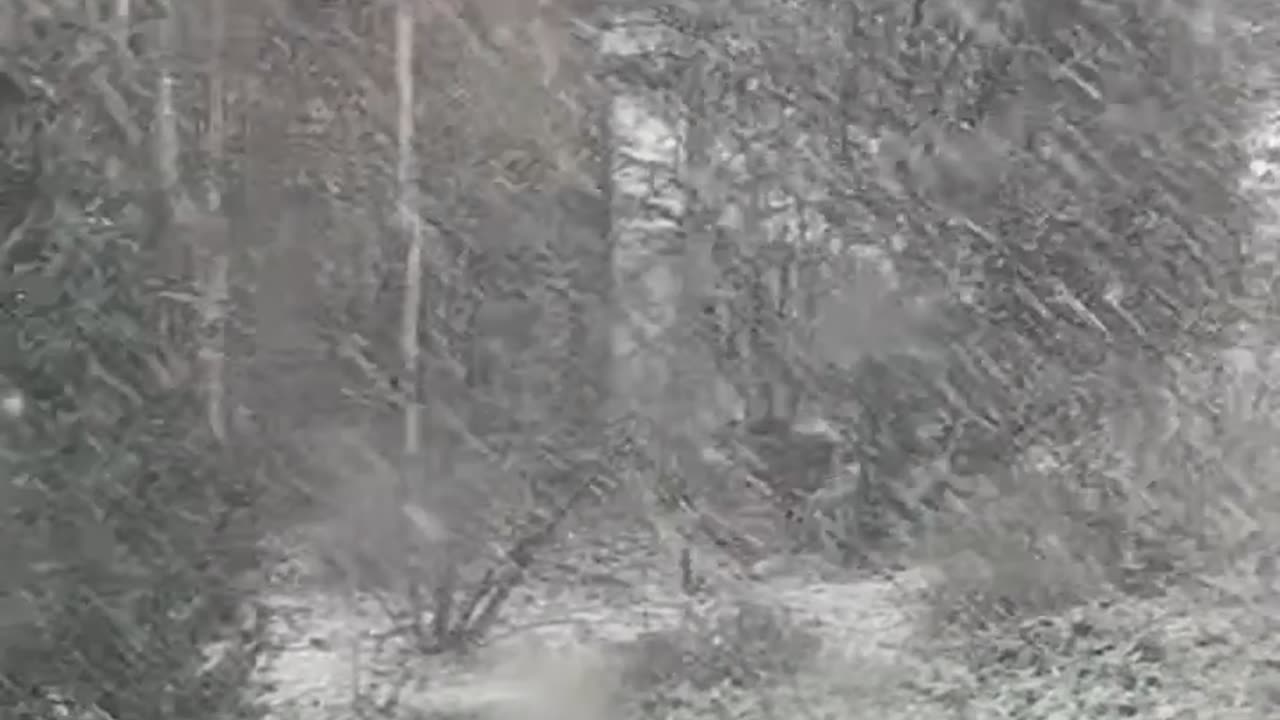Santa’s Backup Reindeer Late for Flying Class