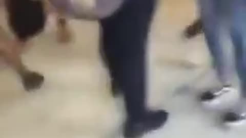 Girls Fighting In School Causes The Rest Of The Kids Screaming Like If it Was A Shooting