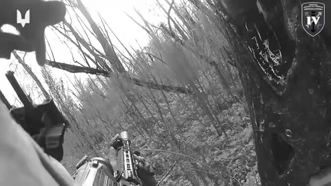 Incredible Ukrainian Ambush On Russian Soldiers in the Forests of Donetsk