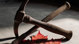 Carbon, Costs, and Quiet Canadians