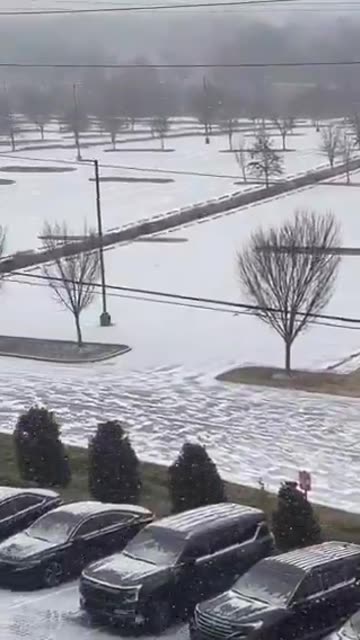 🇺🇸 Americans are now questioning why the Snow doesn’t stick to the trees or settle on the grass