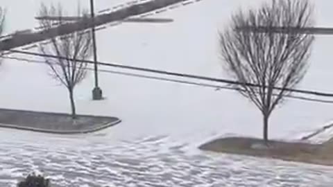 🇺🇸 Americans are now questioning why the Snow doesn’t stick to the trees or settle on the grass