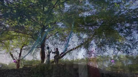 Qingcheng & Gengyun love of petals opening song 21