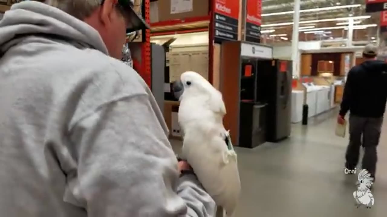 Onni visits Home Depot and More!! What's In His Giant Box_ (Birdy Vlog 6 ... LOT'S of Onni)