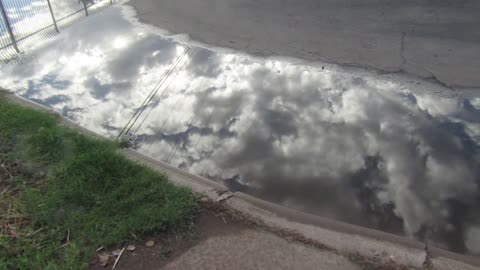 Reflections in the water