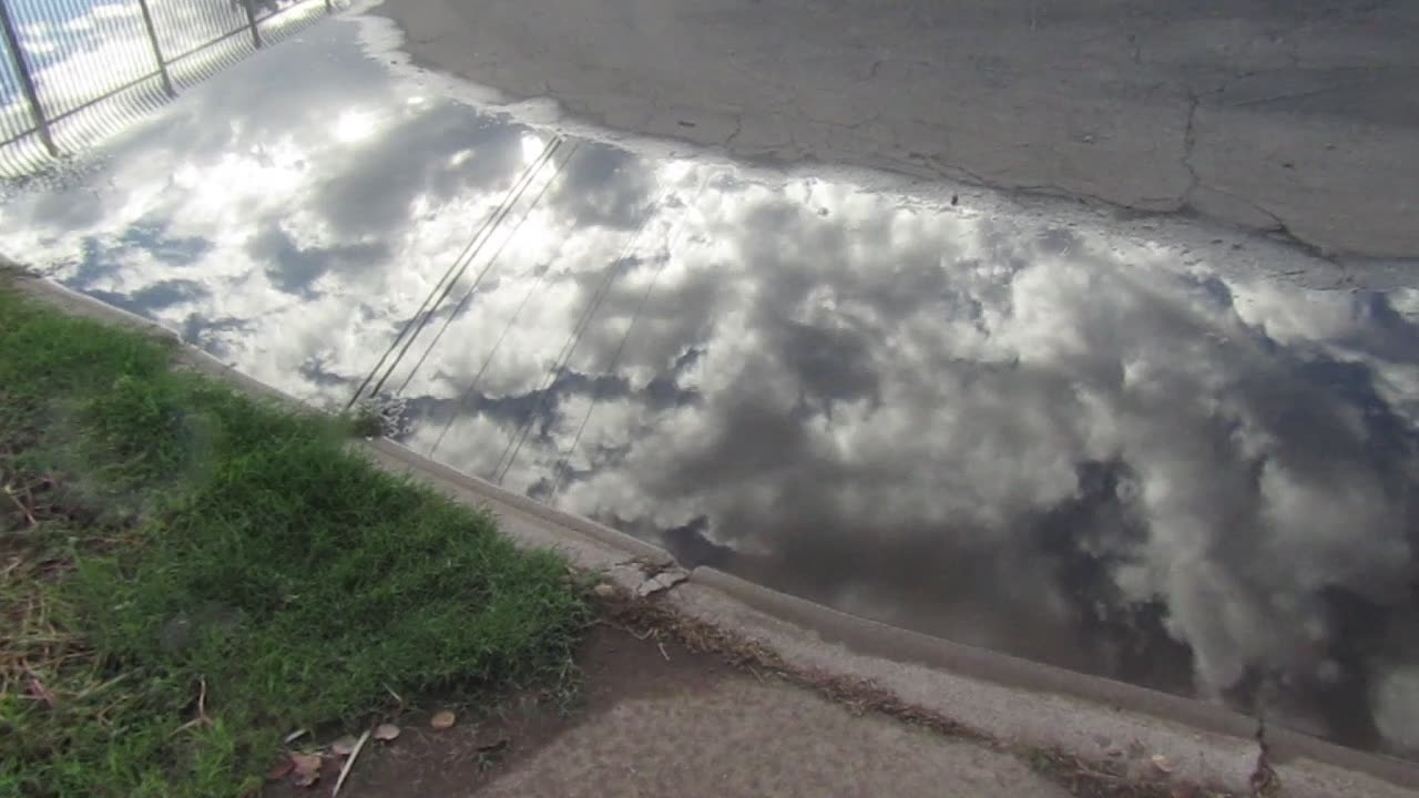 Reflections in the water