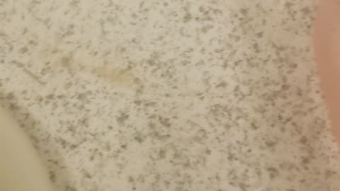 Hunger for healthiness