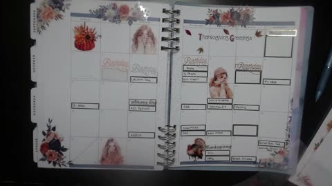 November Monthly in my Dashboard Planner
