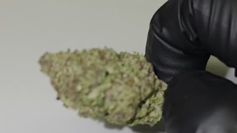 Carbon Fiber THC Flower 