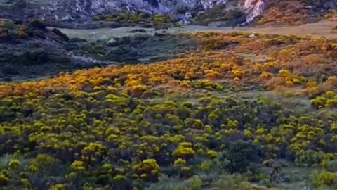 #acts 26 Paul’s Journey from Damascus, Jerusalem to Rome #bible study with #jairus