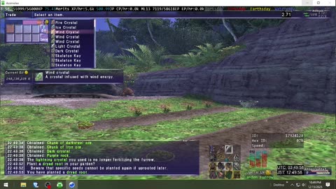Playing Final Fantasy XI Online