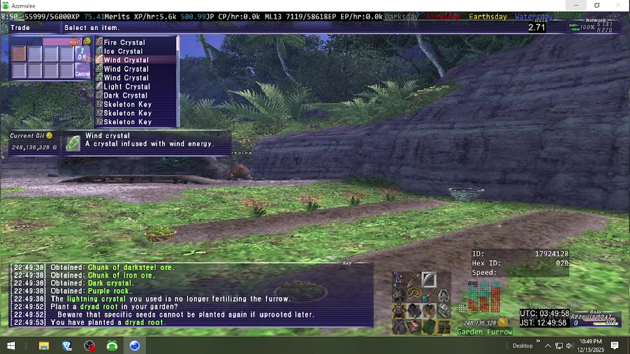 Playing Final Fantasy XI Online