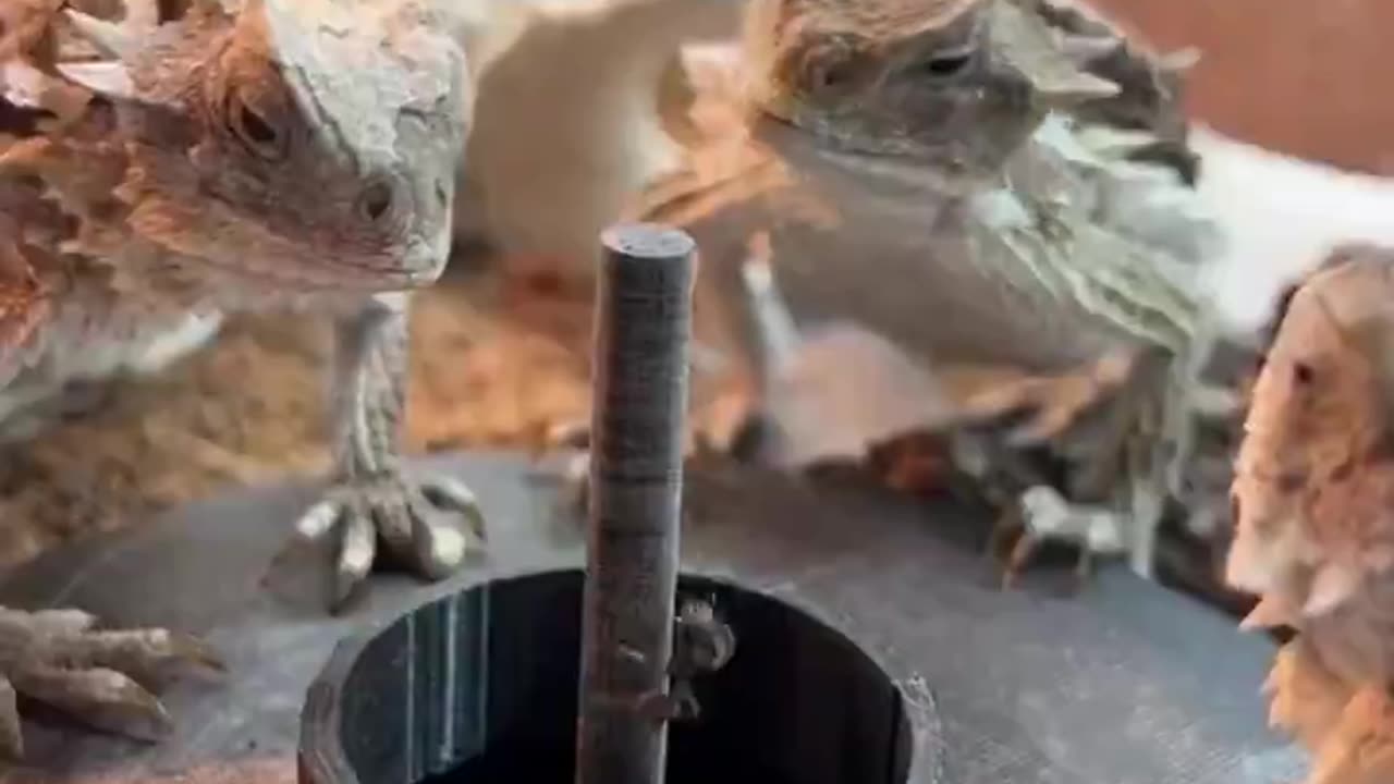 The face says it all.. 😅