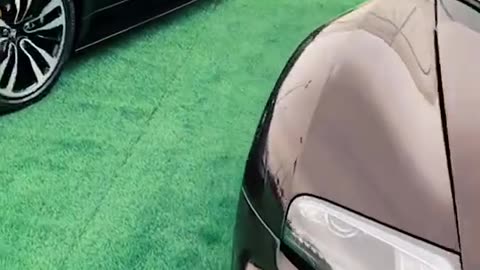 🤯💎 The Most Exciting Exotic Cars from Oman in Action! | LuxurySportsCars