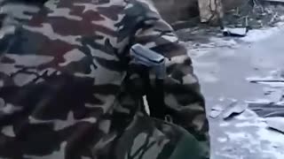 Border guards "Did" and "Spokii" showed what instant reaction is. They heard the sound of the