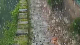Rainy Brick Path, Misty Resort Walkway