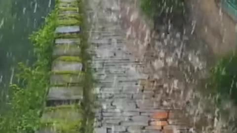 Rainy Brick Path, Misty Resort Walkway