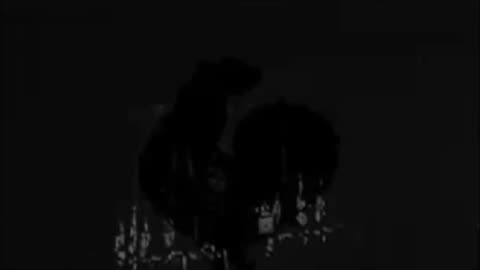 "Hitler's Speeches" NOT racist, NOT supreme, NOT hateful