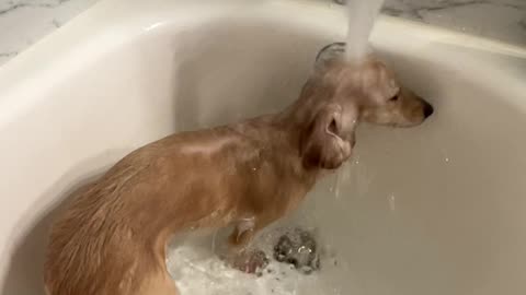 When You've Had a Long Week