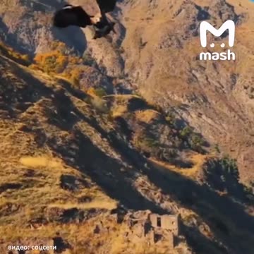 When the eagle mistook a drone for a meal