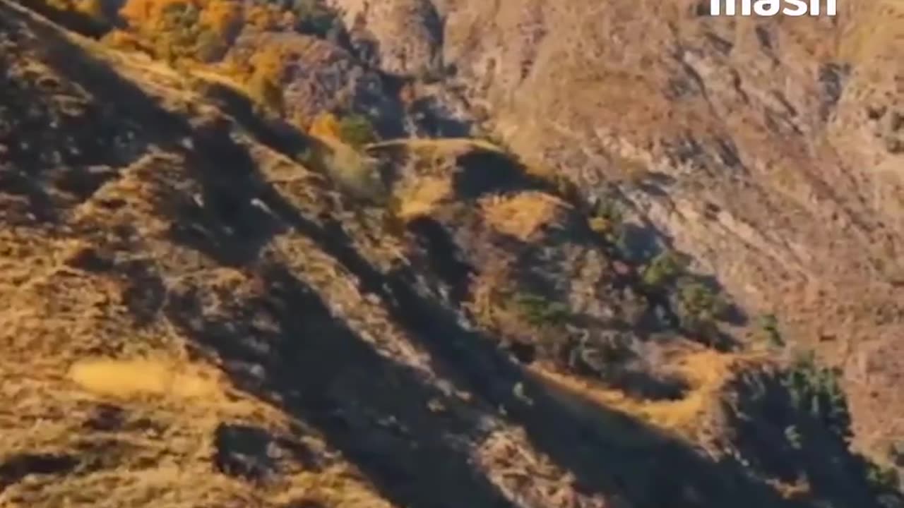 When the eagle mistook a drone for a meal