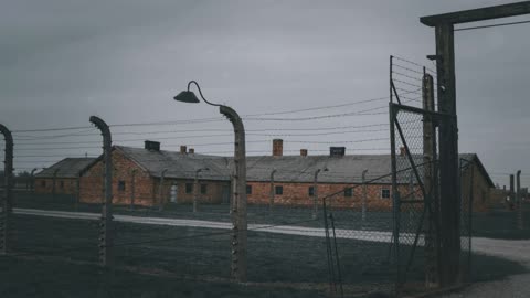 2 Minute History The Holocaust: History and Remembrance