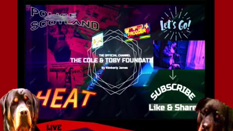 I spied and found all lied.