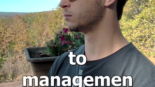 Management