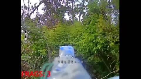 ☠️🐷34471 - 33481 The hilarious slaughter of 11 pigs