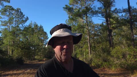 The DEEP STATE plot against Trump! Called Pam Blondie.