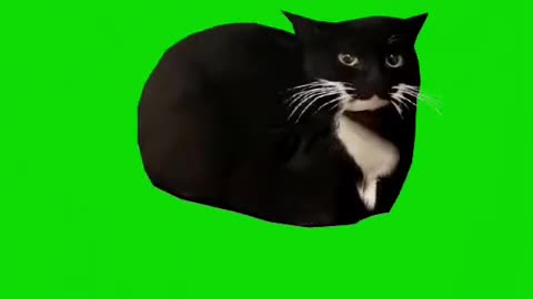 Rock Your Body meme but it's Maxwell