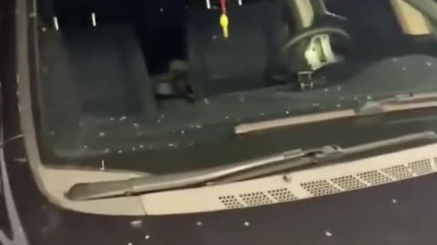 Loudmouth Lupe harassed DHS agents while they detained a p*dophile.