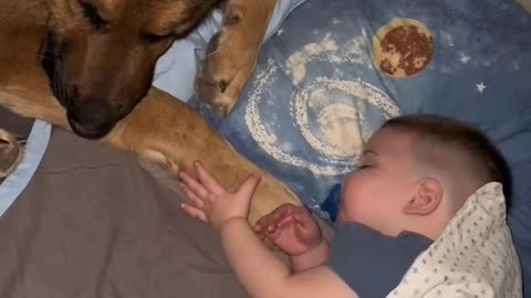 Lovely moment between animal and kids😍🥰❤️