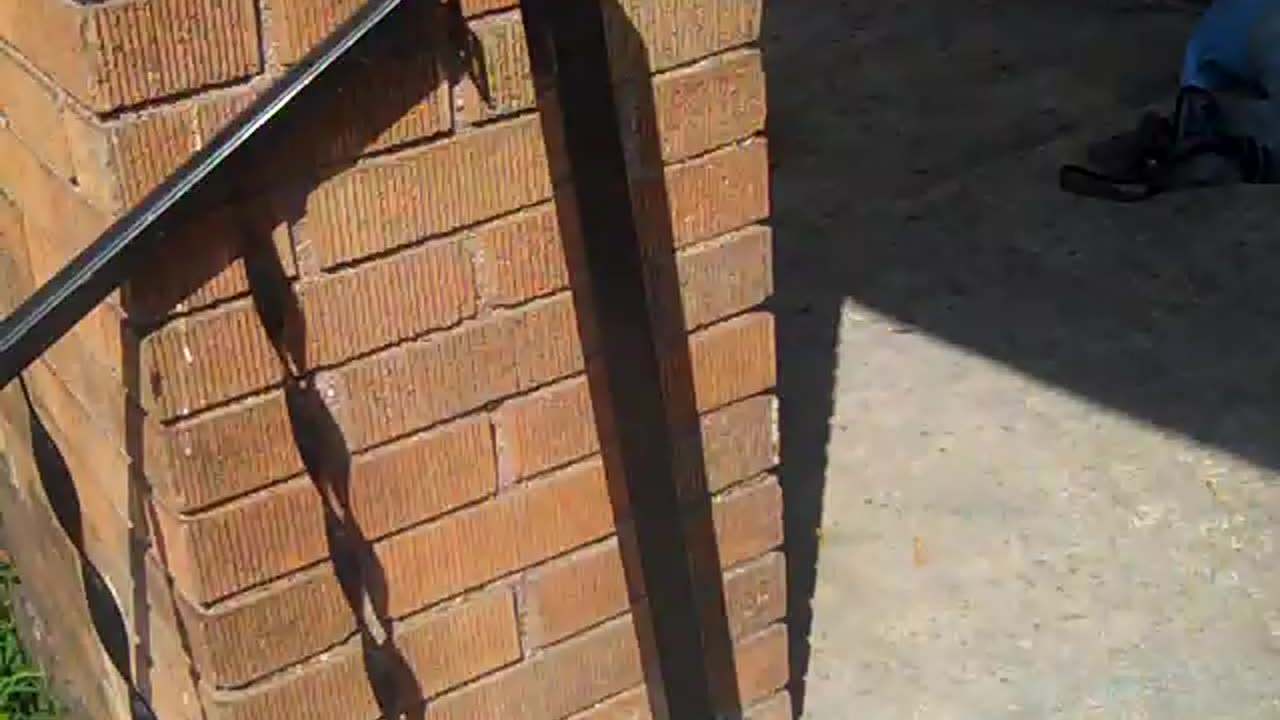 Worthless tenants & elements of the hood part 2, SHEA SHOW