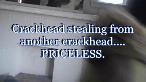 Honor among thieves, you can't make this stuff UP. SHEA SHOW