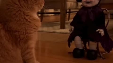 😺 Cat vs Halloween Doll 🎃 | Funny Cat Reaction | Scared or Brave? 👻