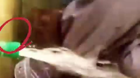 funny baby