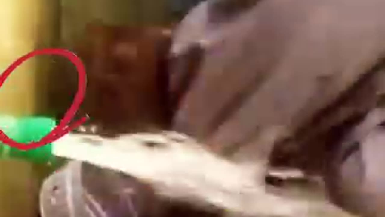 funny baby