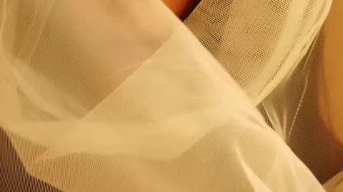 Celia Anderson (celia_anderson444)